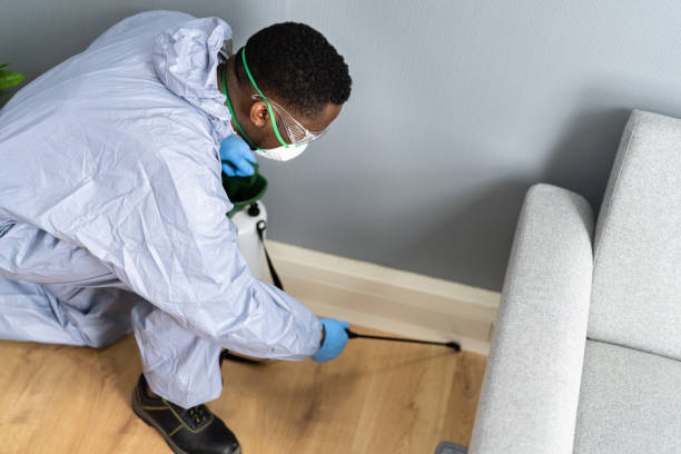 Best Real Estate Pest Inspections  in Lowell, MA